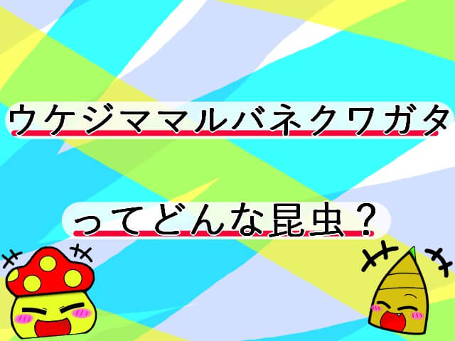 Thumbnail of post image 059